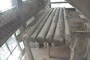 cam5